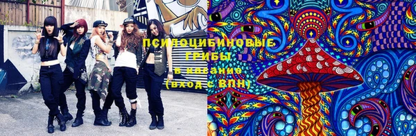 apvp Беломорск