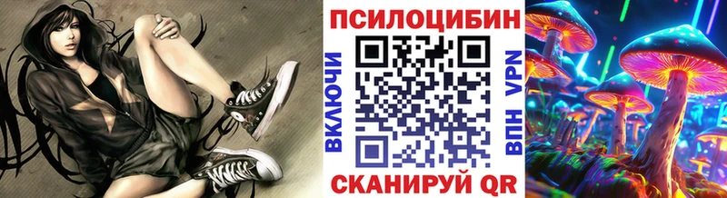 Псилоцибиновые грибы Magic Shrooms  Чернушка 